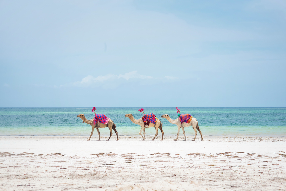 Zanzibar’s Mandatory Tourist Health Insurance